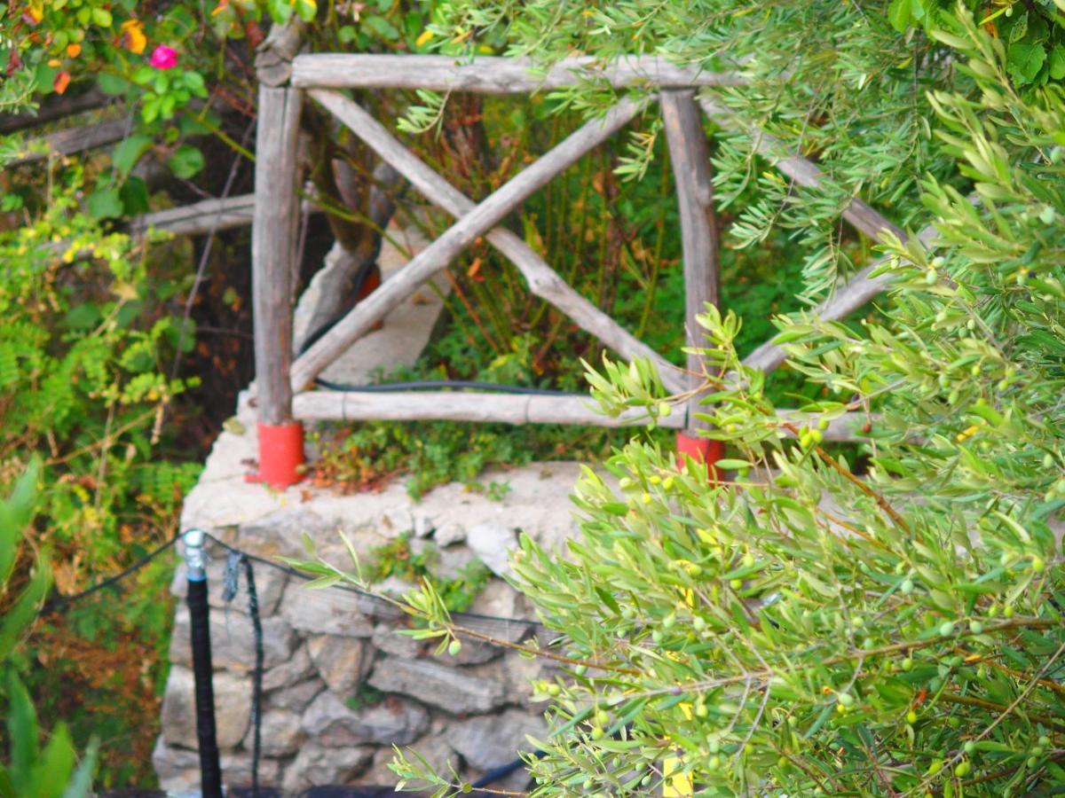 阿马尔菲Giardino Sul Mare公寓 外观 照片