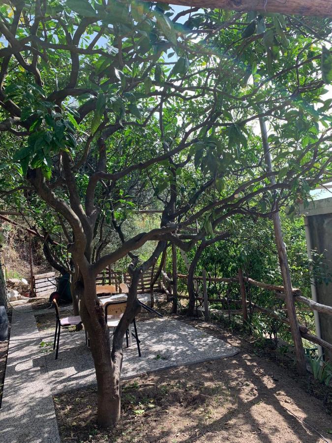 阿马尔菲Giardino Sul Mare公寓 外观 照片
