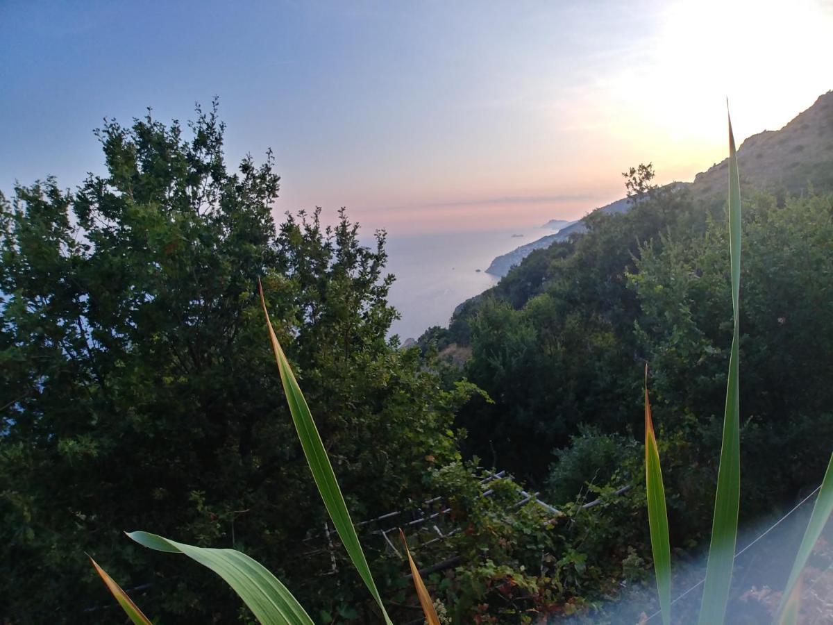 阿马尔菲Giardino Sul Mare公寓 外观 照片