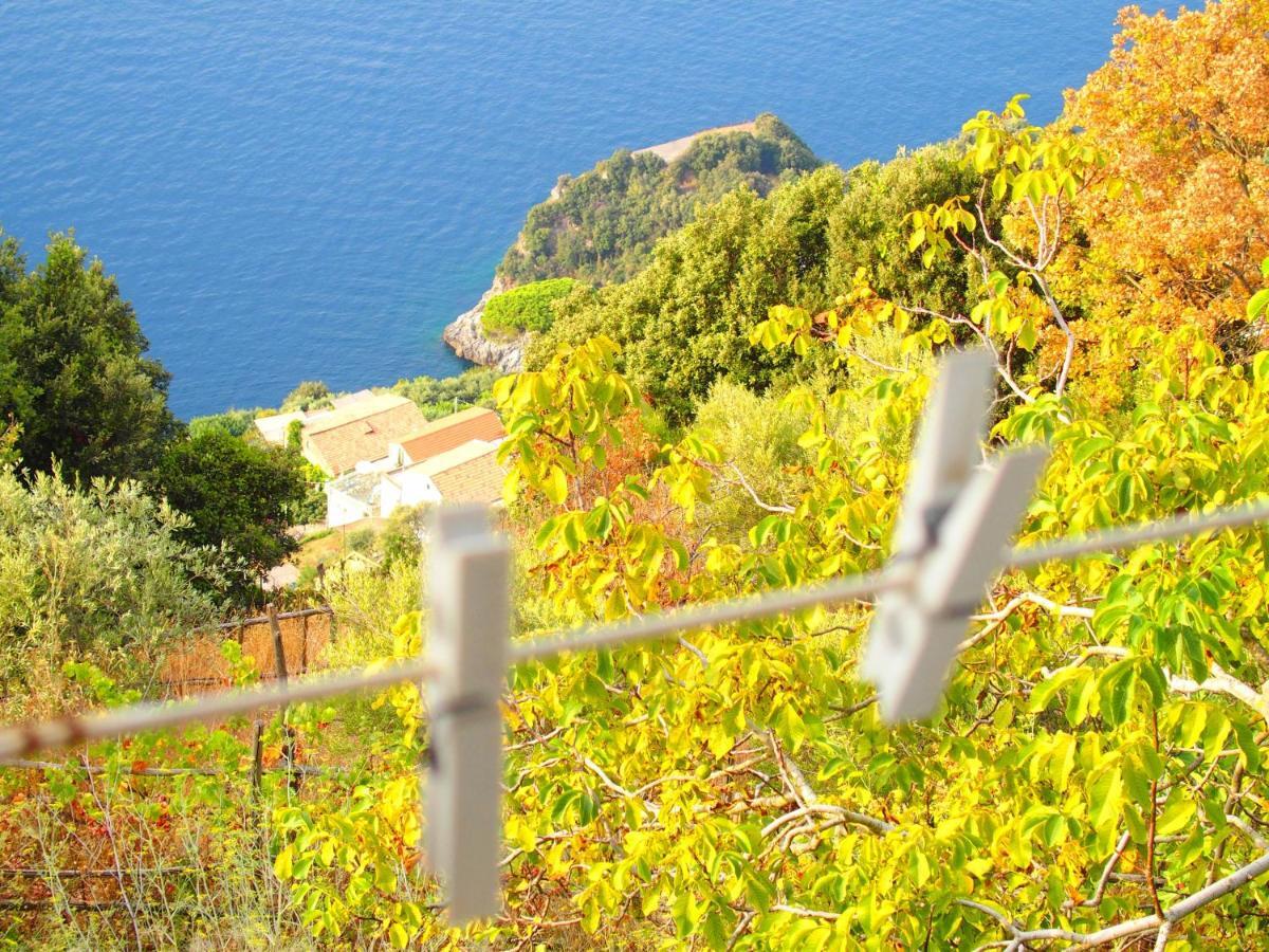 阿马尔菲Giardino Sul Mare公寓 外观 照片